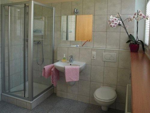 Econo Motel Goelzer Büchenbeuren Екстериор снимка